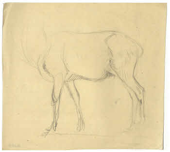 Visualizza l'immagine "FD D 137"